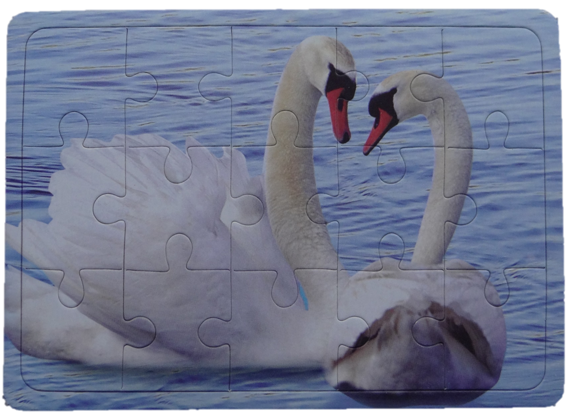 Mini Puzzle