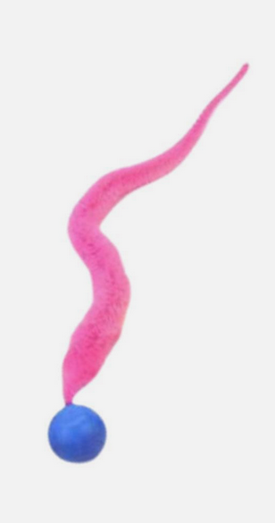 Hüpfball mit magischen Wurm