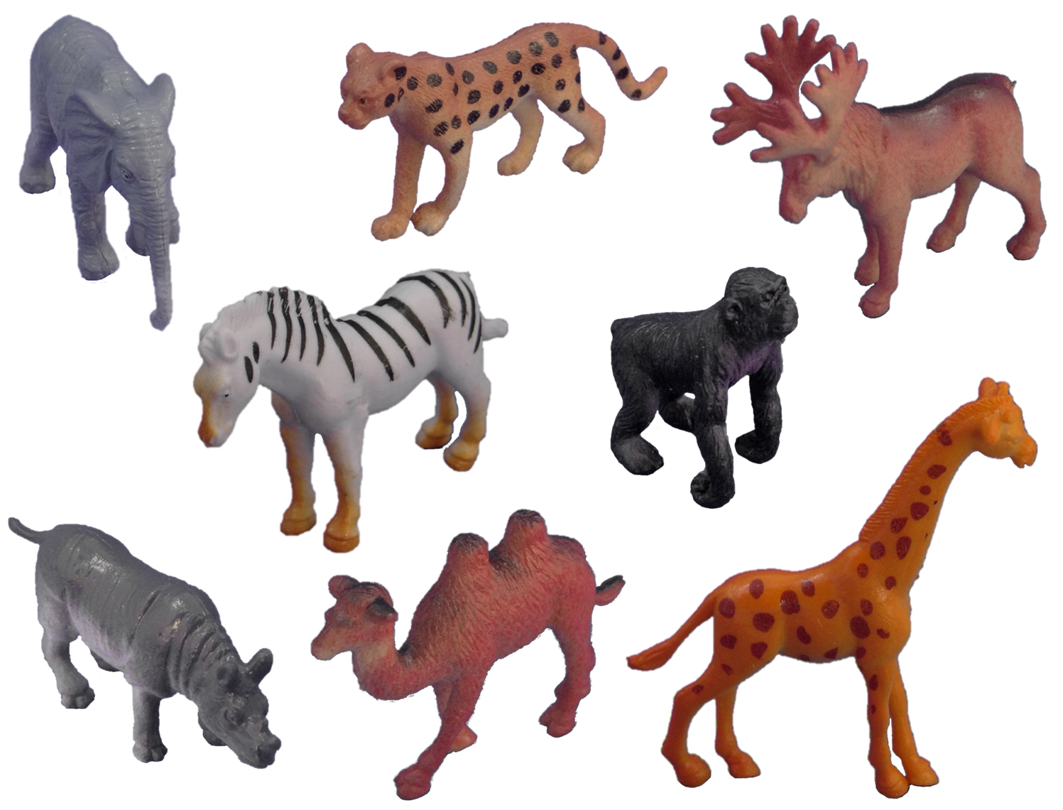 Wilde Tiere Wilde Tiere