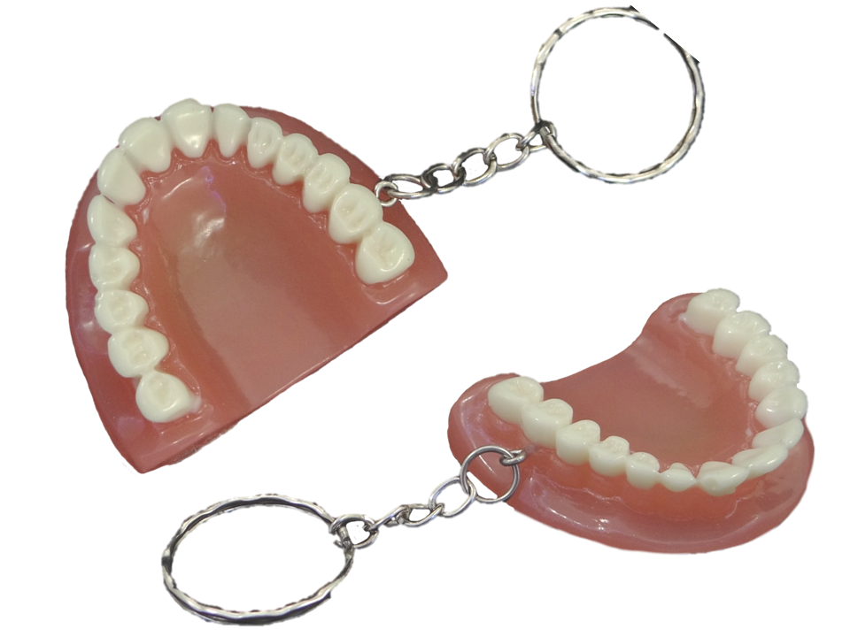 Gebiss an Schlüsselkette Gebiss an Schlüsselkette